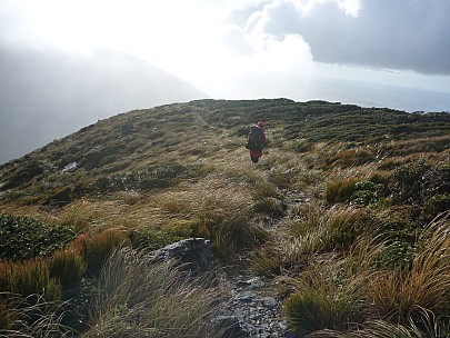 2015-05-31 09.57.23 P1010946 Simon - Bruce heading down the Atiwhakatu track.jpeg: 4000x3000, 6790k (2015 Jun 14 17:10)