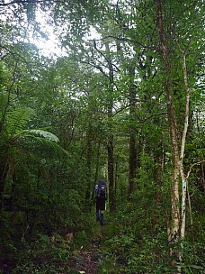 2015-07-04 09.40.57 P1010971 Simon - Bruce heading across flats.jpeg: 3000x4000, 5828k (2015 Nov 04 18:29)