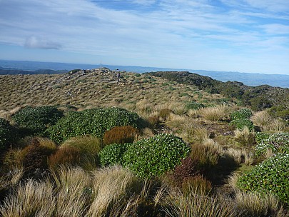 2015-07-05 13.45.44 P1020005 Simon - Bruce near Cone.jpeg: 4000x3000, 6907k (2015 Nov 04 18:35)