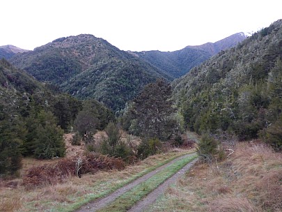 2015-10-02 07.37.47 P1000184 Simon - view from Boulder Forks Hut to route up spur.jpeg: 4608x3456, 6379k (2015 Nov 06 16:06)