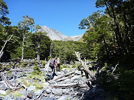 Southern South Branch Temple Stream