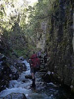 Southern South Branch Temple Stream