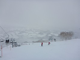 Skiing Niseko