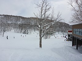 Skiing Niseko
