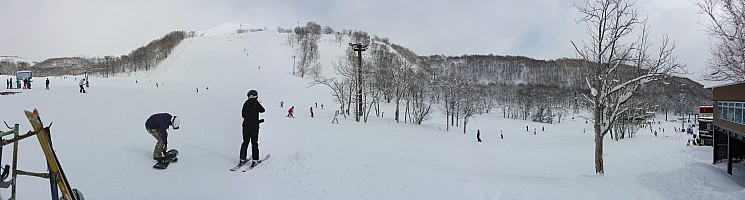 Skiing Niseko