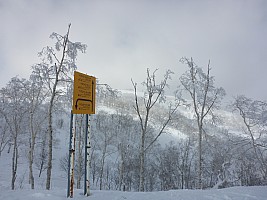Skiing Rutsusu