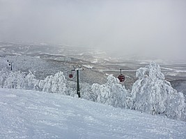 Skiing Rutsusu