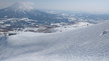 Skiing Niseko