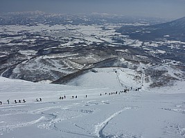 Skiing Niseko