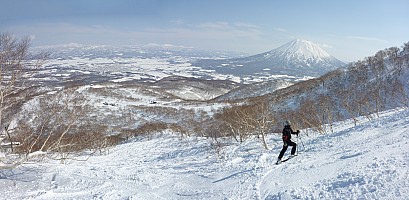 Skiing Niseko
