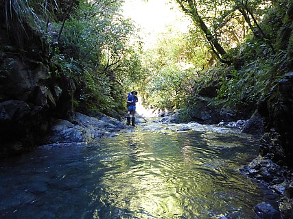 Brian in Big Hill Stream
Photographer;&nbsp;Simon
2016-10-29&nbsp;09.07.33;&nbsp;Metadata time: '2016 Oct 29 09:07'
Original size:&nbsp;4,608 x 3,456; 6,585 kB
Filename: 2016-10-29 09.07.33 P1010037 Simon - Brian in Big Hill Stream.jpeg