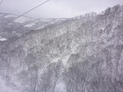 2017-01-15 10.45.30 P1010284 Simon - view from Hikage Gondola.jpeg: 4608x3456, 5885k (2017 Jan 29 10:20)