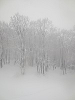 Nozawa Onsen