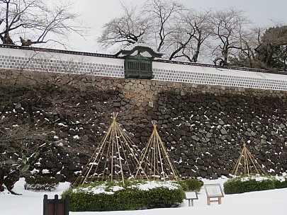 2017-01-17 14.13.02 IMG_8723 Anne - castle walls.jpeg: 4608x3456, 7572k (2017 Jan 26 18:35)