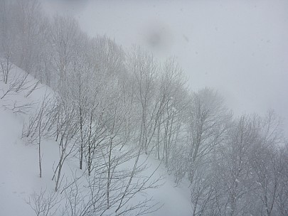 2017-01-17 16 Madarao 10.11.35 P1010332 Simon - trees from #13 lift.jpeg: 4608x3456, 6100k (2017 Jan 29 10:22)