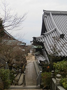 View Down Path To Village
Photographer;&nbsp;Anne
2017-01-21&nbsp;16.40.45;&nbsp;Metadata time: '2017 Jan 21 16:40'
Original size:&nbsp;3,456 x 4,608; 5,706 kB
Filename: 2017-01-21 16.40.45 IMG_9159 Anne - view down path to village.jpeg