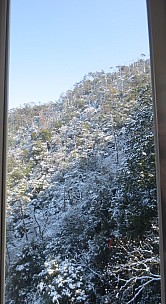 2017-01-21 11.56.22 IMG_9088 Anne - snow on trees_cr.jpg: 2517x4608, 5861k (2017 Jan 26 18:36)