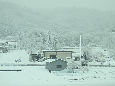 2017-01-23 11.04.23 IMG_9310 Anne - snowy view from train.jpeg: 4608x3456, 4831k (2017 Jan 26 18:37)