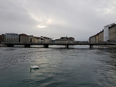 16  04 24  Jim - Rhône from Quai des Bergues
2018-01-19;&nbsp;Metadata time: '2018 Jan 19 16:04'
Original size:&nbsp;4,032 x 3,024; 4,103 kB
Filename: 2018-01-19 16.04.24. Jim - Rhône from Quai des Bergues.jpeg