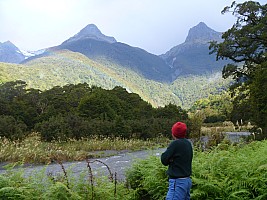 Paringa to Tunnel Creek Hut