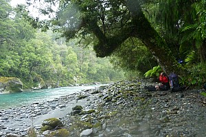 Paringa to Tunnel Creek Hut