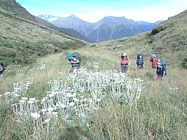 Paringa Rock Biv to McCullaugh Creek