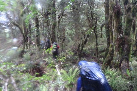 2019-01-19 10.31.29 P1050773 Philip - leaving the Otoko River into the bush.jpeg: 4320x2880, 5301k (2019 Jun 24 21:12)