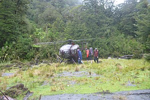 Stag Flat to Fox Glacier