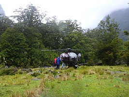 Stag Flat to Fox Glacier