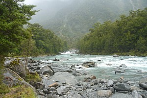 Stag Flat to Fox Glacier