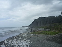 Stag Flat to Fox Glacier