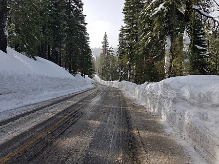 2019-02-27 10.05.52 Jim - snow banks down Granlibakken Road.jpeg: 4032x3024, 2829k (2019 Feb 28 15:49)