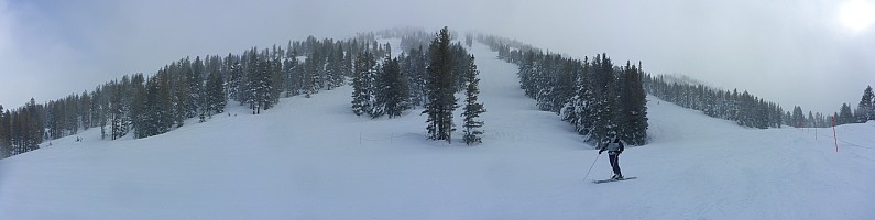 Mt Rose