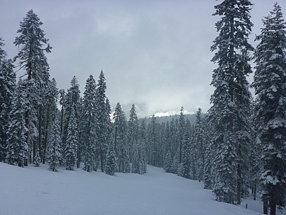 Marmot
Photographer;&nbsp;Simon
2019-03-07&nbsp;10.05.50;&nbsp;Metadata time: '2019 Mar 07 10:05'
Original size:&nbsp;4,608 x 3,456; 5,836 kB
Filename: 2019-03-07 10.05.50 P1020841 Simon - Marmot.jpeg