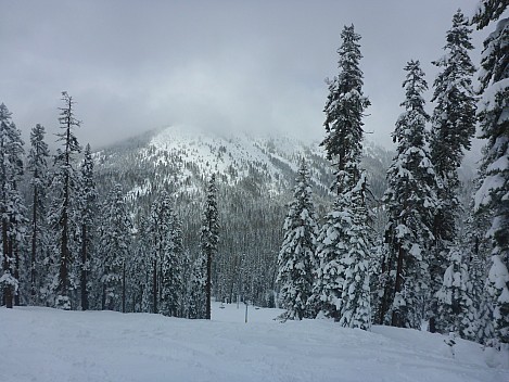 2019-03-07 14.16.38 P1020855 Simon - Lower Bashful.jpeg: 4608x3456, 6065k (2019 Mar 07 14:16)