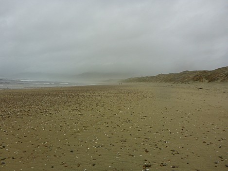 2019-11-09 17.44.09 P1020866 Simon - Mason Bay to north.jpeg: 4608x3456, 5755k (2019 Nov 09 17:44)