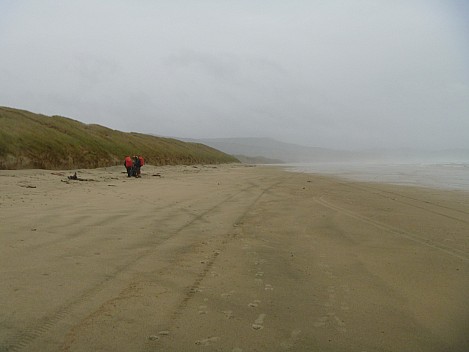 2019-11-09 17.35.19 P1000698 Jim - view south down Mason Bay.jpeg: 4320x3240, 4709k (2019 Nov 09 17:35)