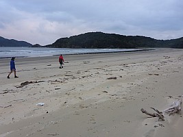 Mason Bay to Doughboy Bay