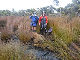 Rakeahua Hut to Freds Camp Hut