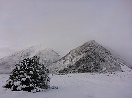 Mistake Flats Forbes River and Murphys Stream