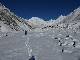 Mistake Flats Forbes River and Murphys Stream