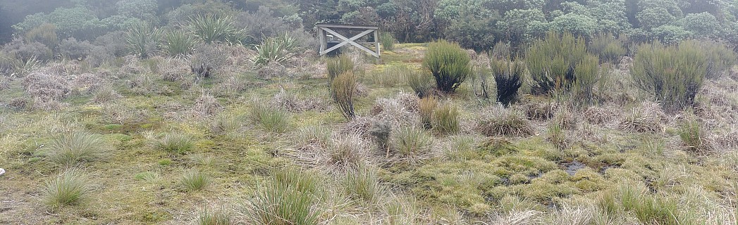 Oriwa Lake Hollow water collector
Photographer;&nbsp;Simon
2021-01-22&nbsp;18.14.40;&nbsp;Metadata time: '2021 Jan 22 18:14'
Original size:&nbsp;6,441 x 1,968; 15,534 kB;&nbsp;stitch
Filename: 2021-01-22 18.14.40 GS8 Simon - Oriwa Lake Hollow water collector_stitch.jpg