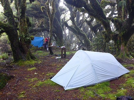 2021-01-23 08.04.35 P1030519 Simon - campsite.jpeg: 4608x3456, 6105k (2021 Jan 24 16:22)