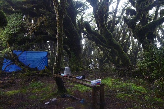 2021-01-23 08.06.13 P1060399 Philip - campsite and table.jpeg: 4320x2880, 4914k (2021 Jan 25 11:24)