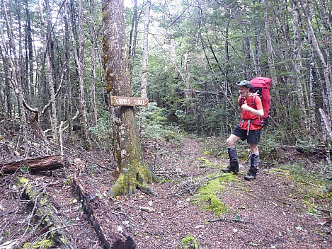 Sisters car park to Jollie Brook Hut