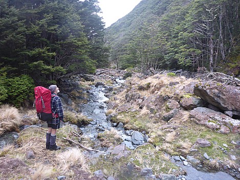 Evangaline Biv to Hope Kiwi Lodge