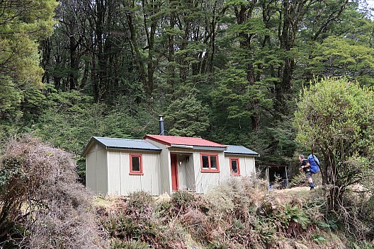 Hope Kiwi Lodge to Three Mile Stream Hut