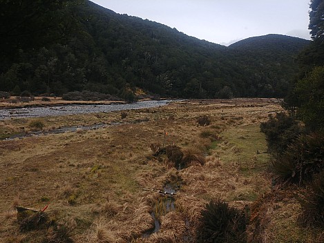 Hope Kiwi Lodge to Three Mile Stream Hut