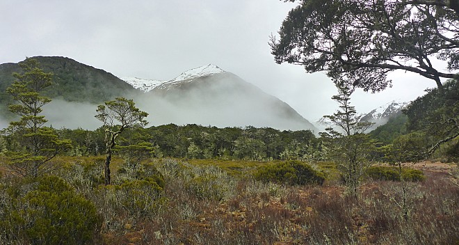 Three Mile Stream Hut to Hurunui Hut