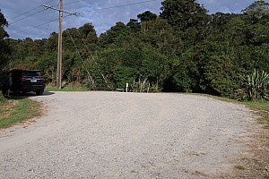 Mananui Bush, Mahinapua, Wanganui River, Oneone